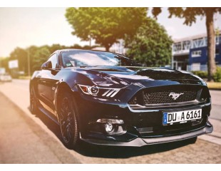 Ipsum cursus vestibulum at interdum Vivamus